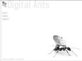 Digital Ants